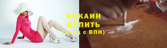 шишки Киреевск